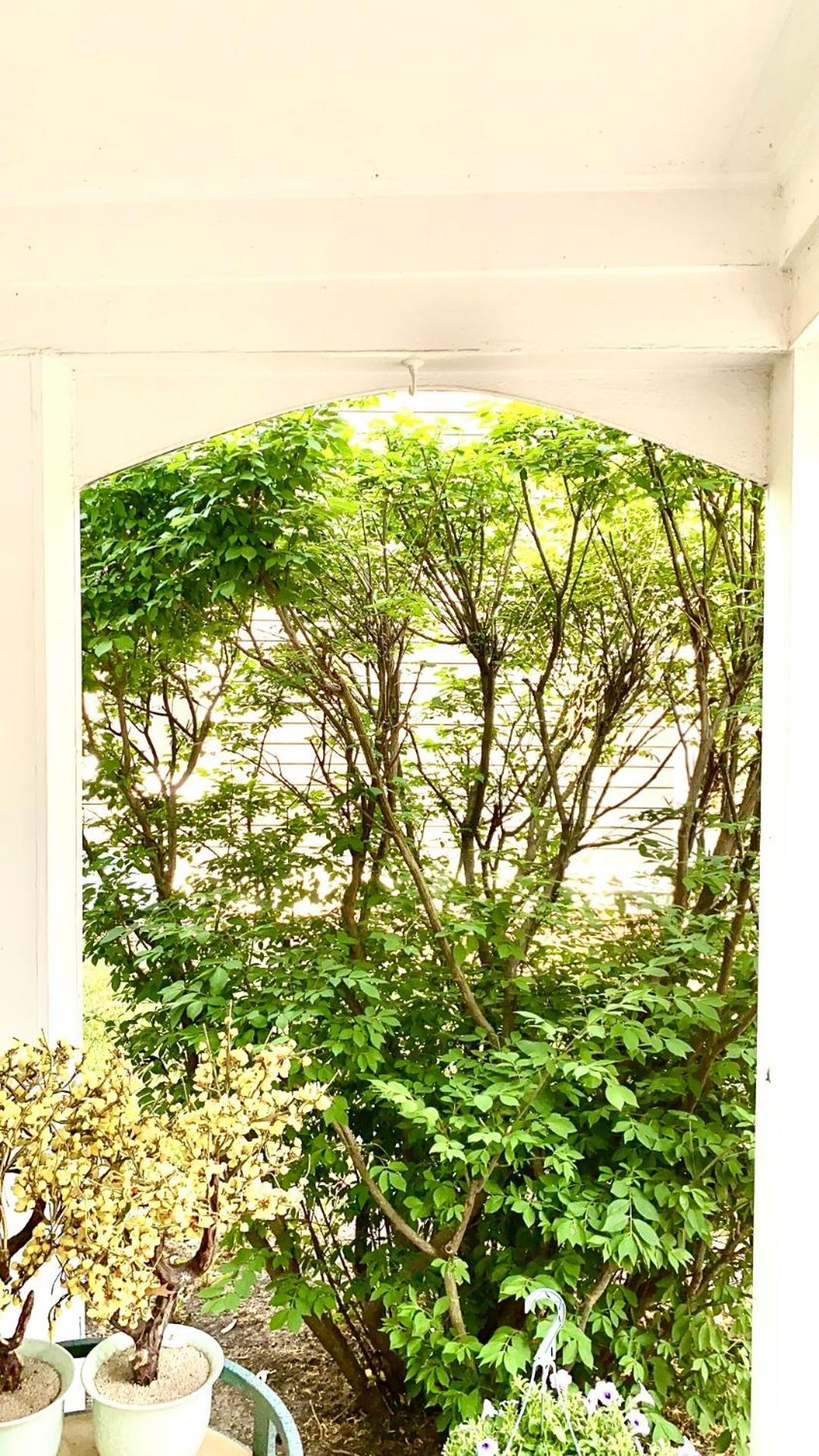 B2 A Private Room In Naperville Downtown With Desk And Wi-Fi Near Everything Exterior foto